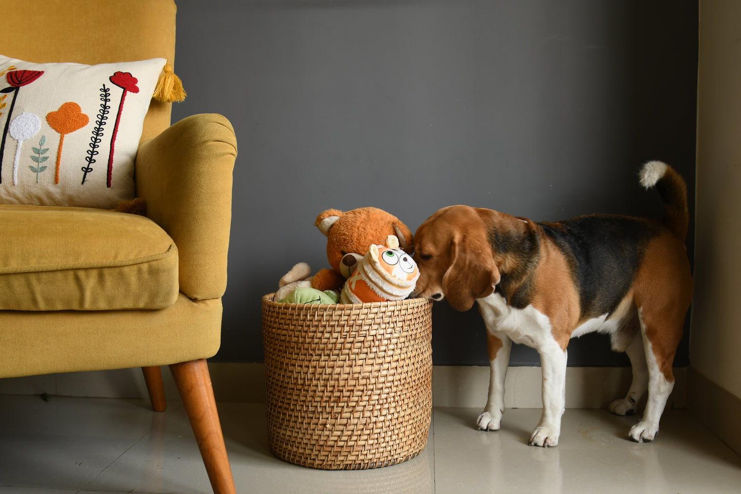 Kauna + Cane | Set Of Two Handwoven Baskets