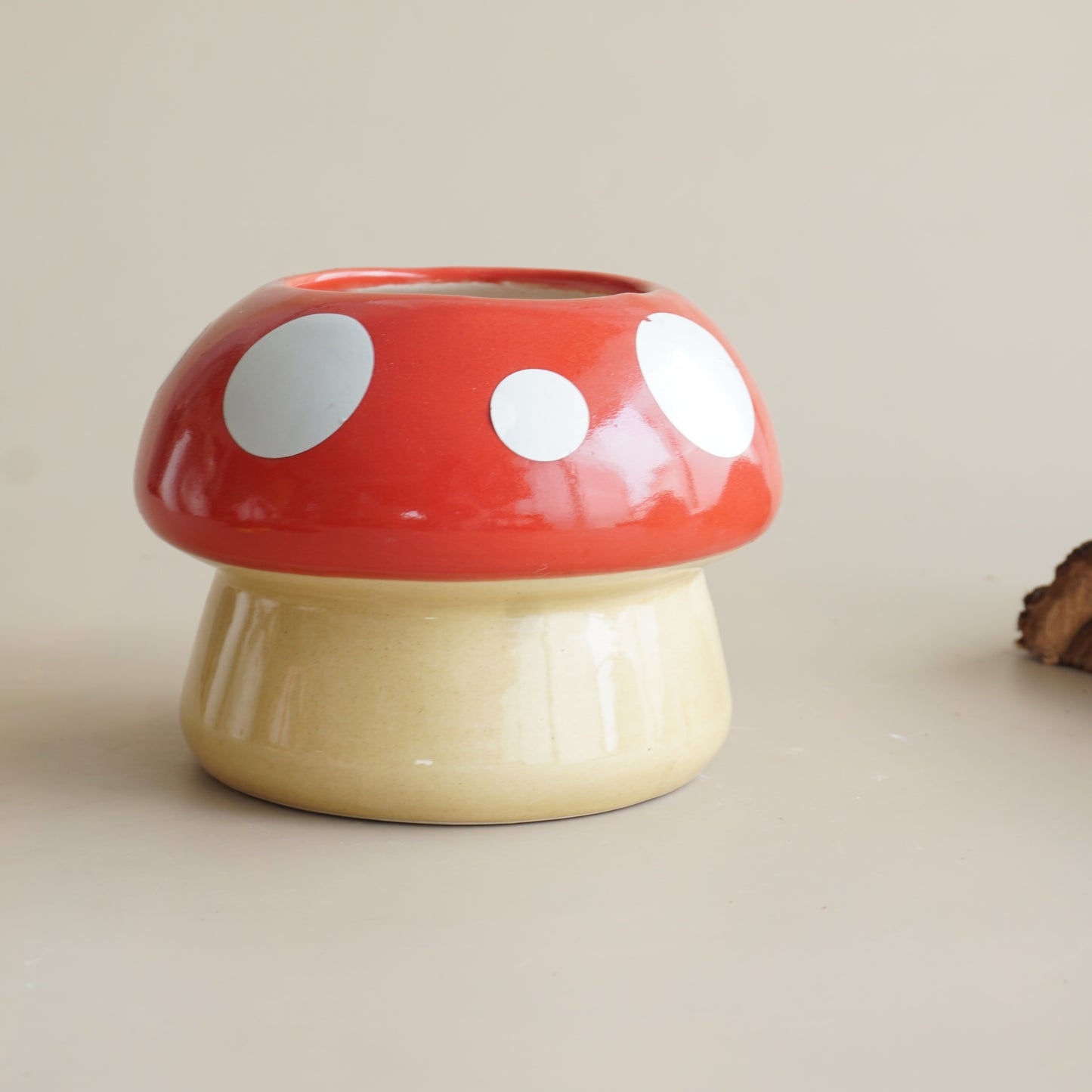 Mushy-Mushroom Planter