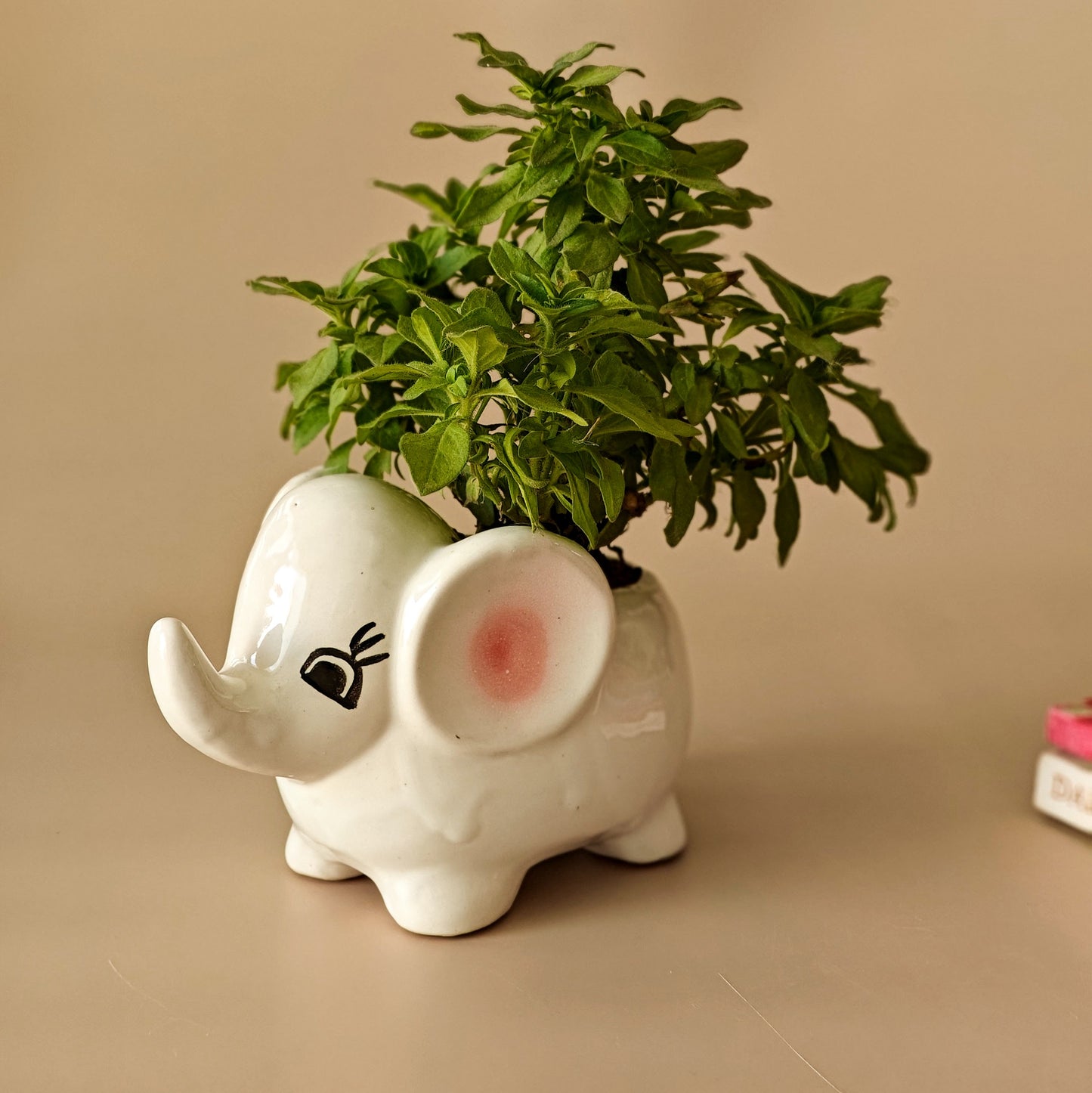 Cute Elle Desk Planter