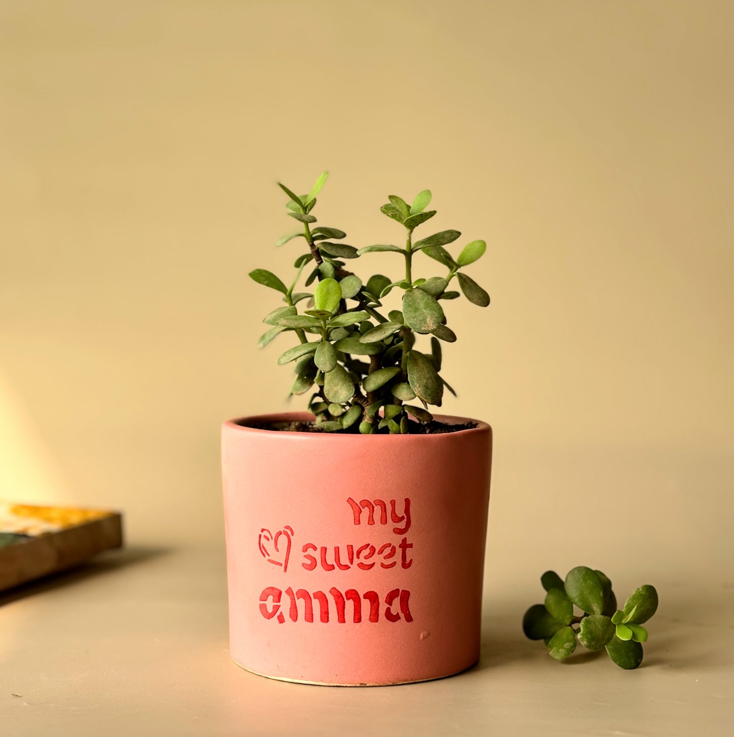Amma Planter | Mother's Day Special