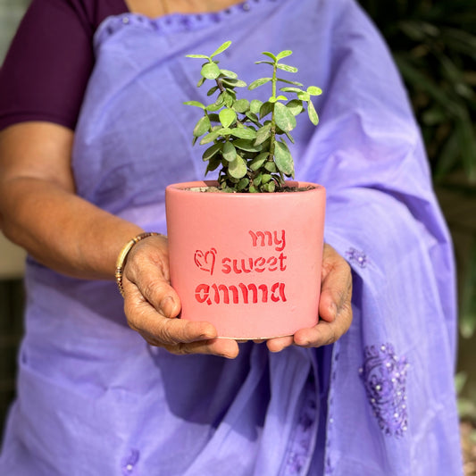 Amma Planter | Mother's Day Special