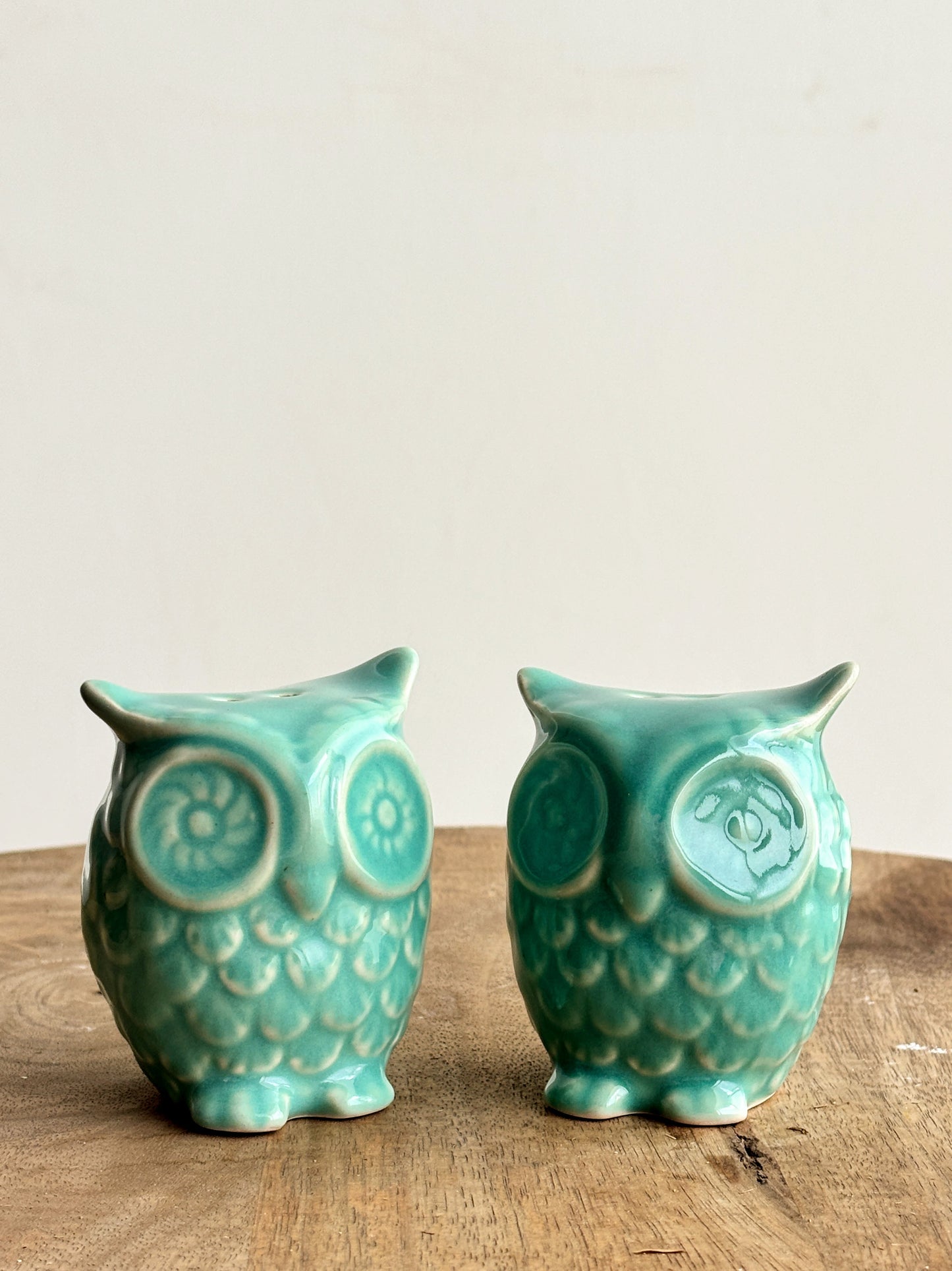 The Last Launch - Ceramic Owl Salt & Pepper Shakers