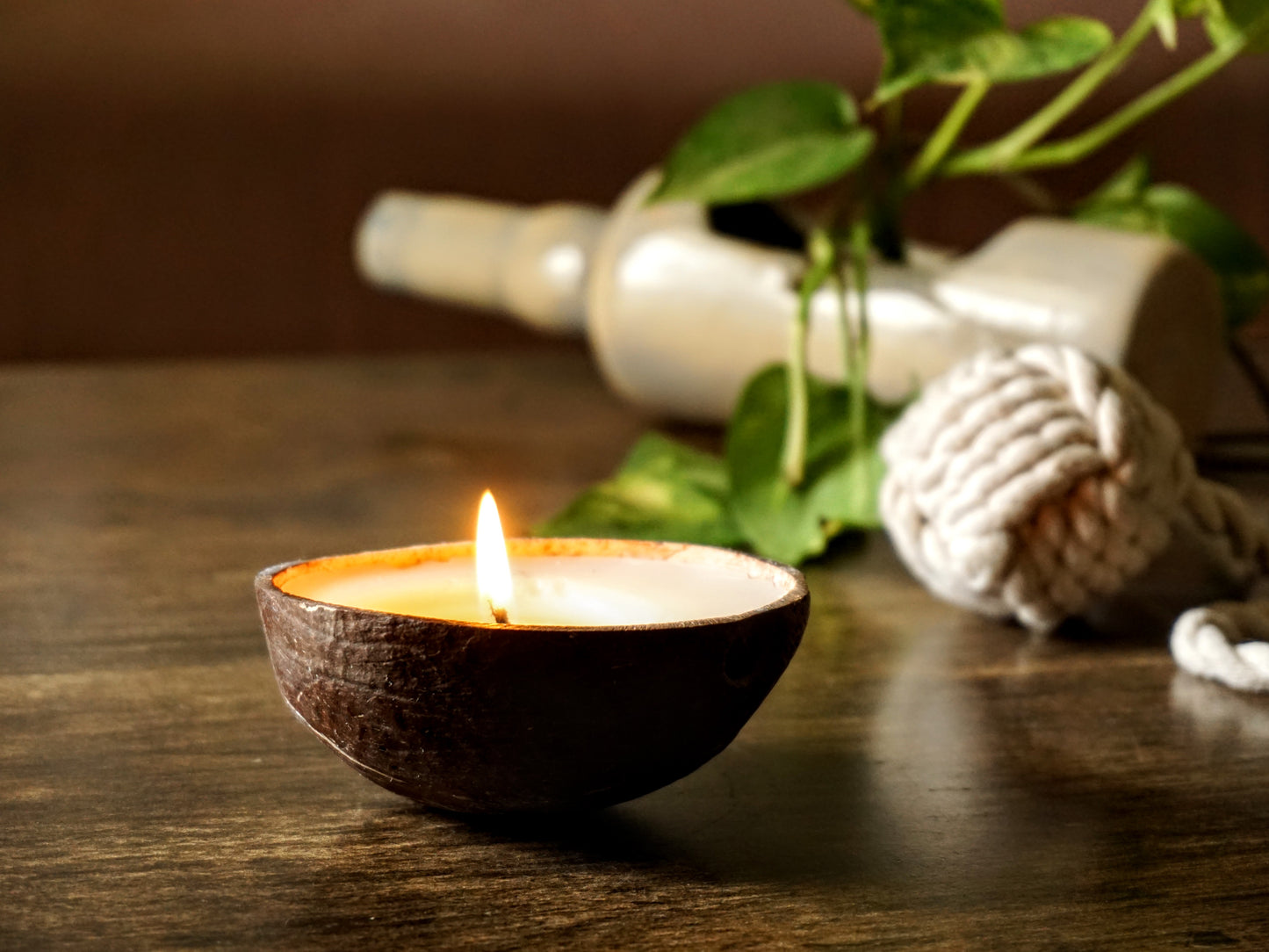 Coconut Shell Candle