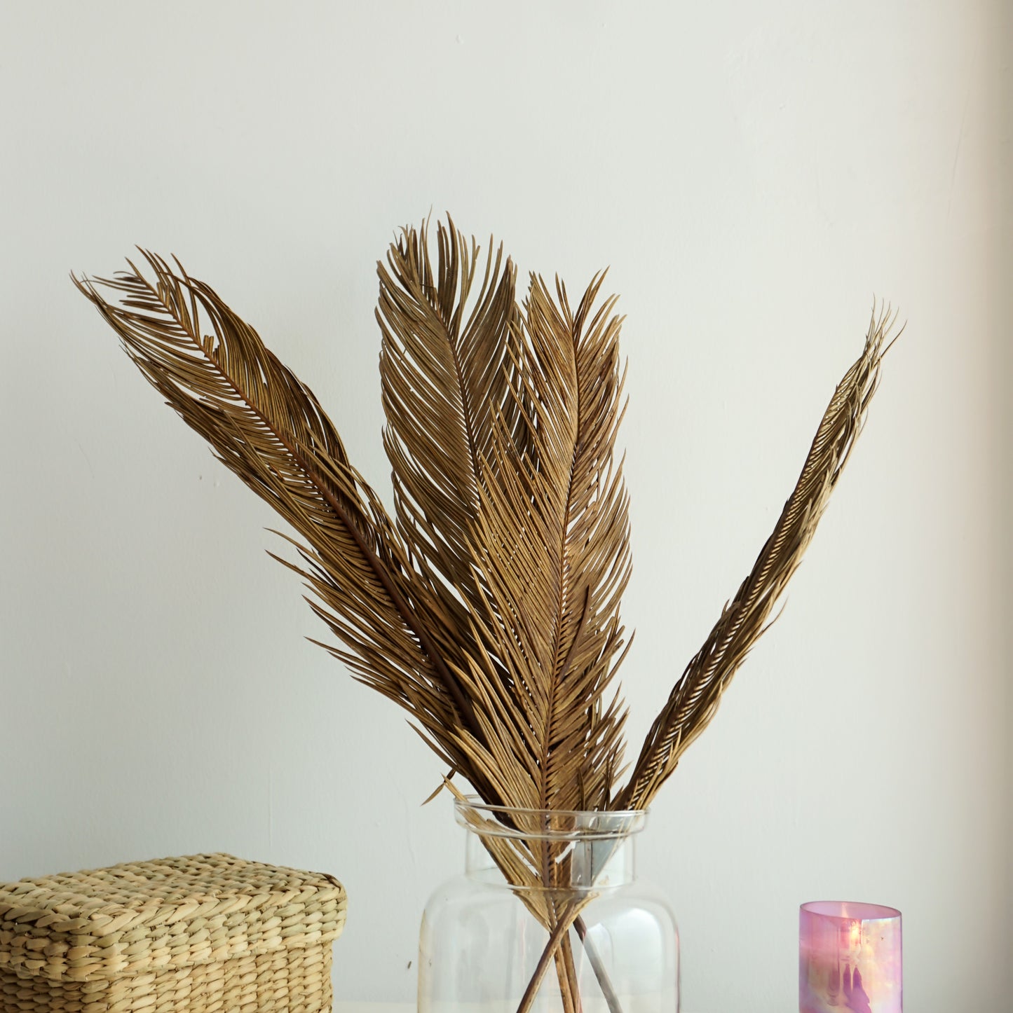 Dried Date Palm Leaves - Set of Four
