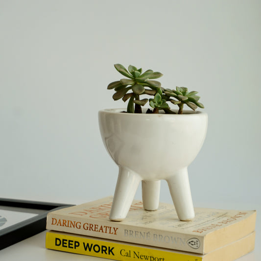 Three-Legged Friend Desk Planter