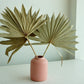 Natural Dried Palm Leaf Bunch (10 Leaves)
